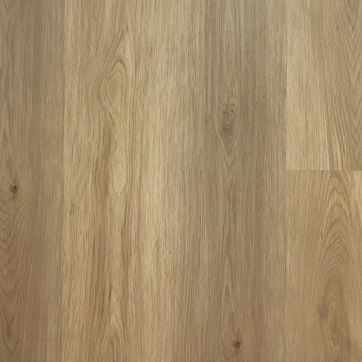 SPC Intra Rigid Clic 9120-1 nr555