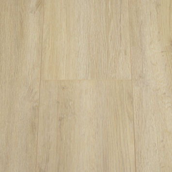 Kliklaminaat Grand Oak Nature 8 mm