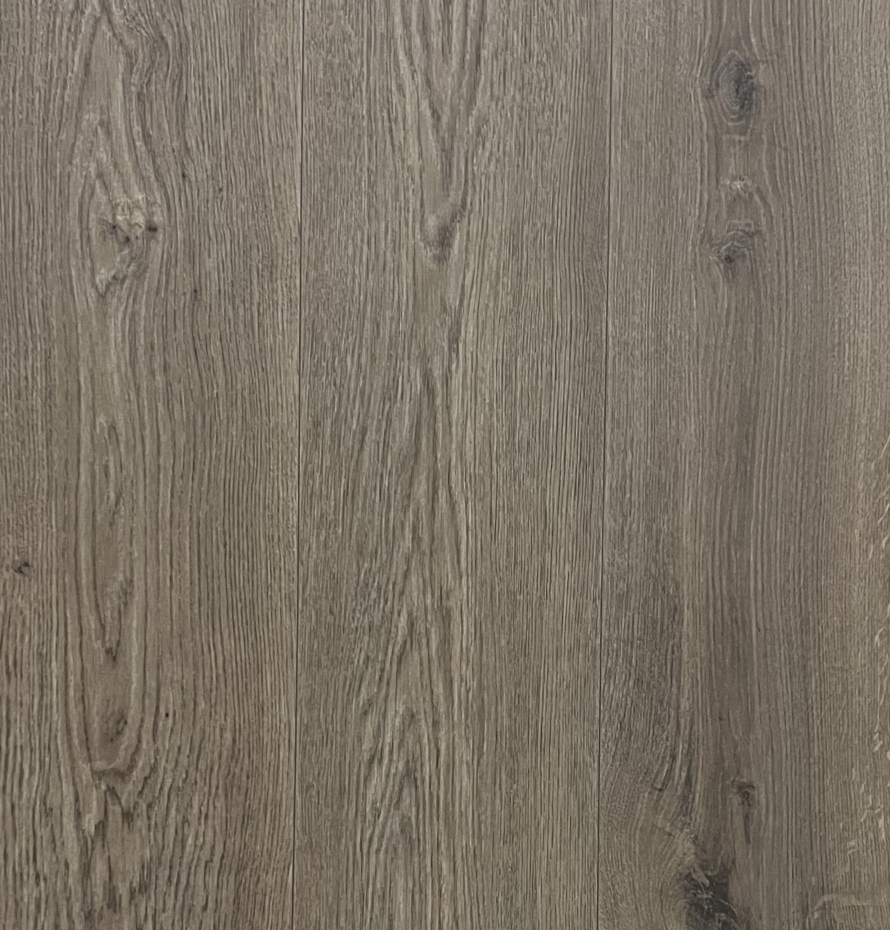 ECO vloer Bern grijs eiken 6,5 mm